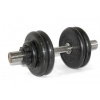 Гантель разборная 29 кг MB Barbell MB-FdbM-St29
